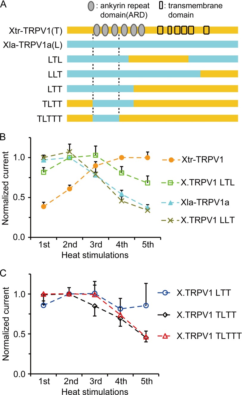 FIGURE 5.