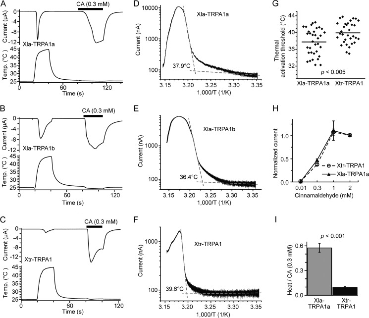 FIGURE 11.