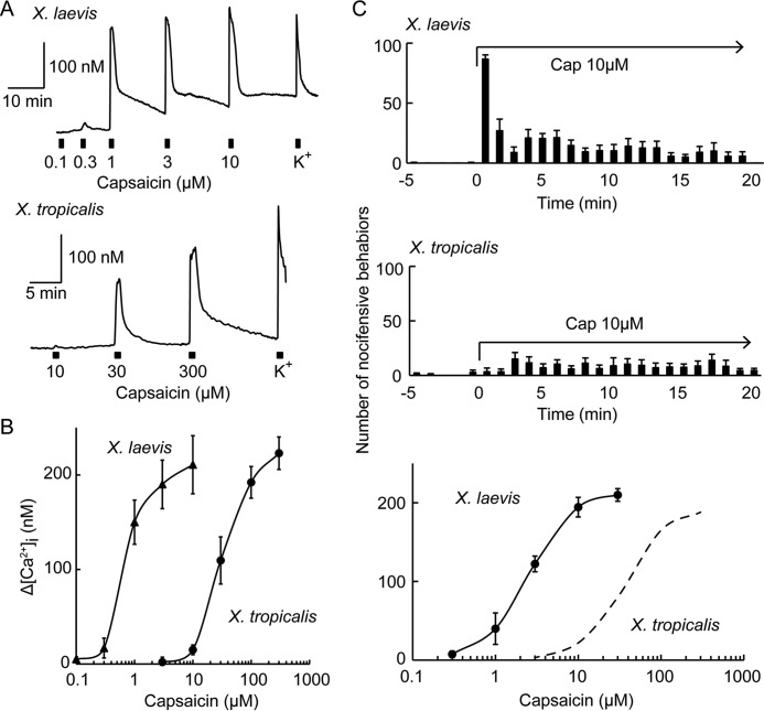 FIGURE 10.