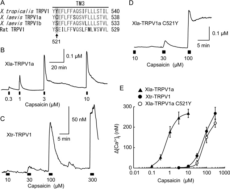 FIGURE 9.