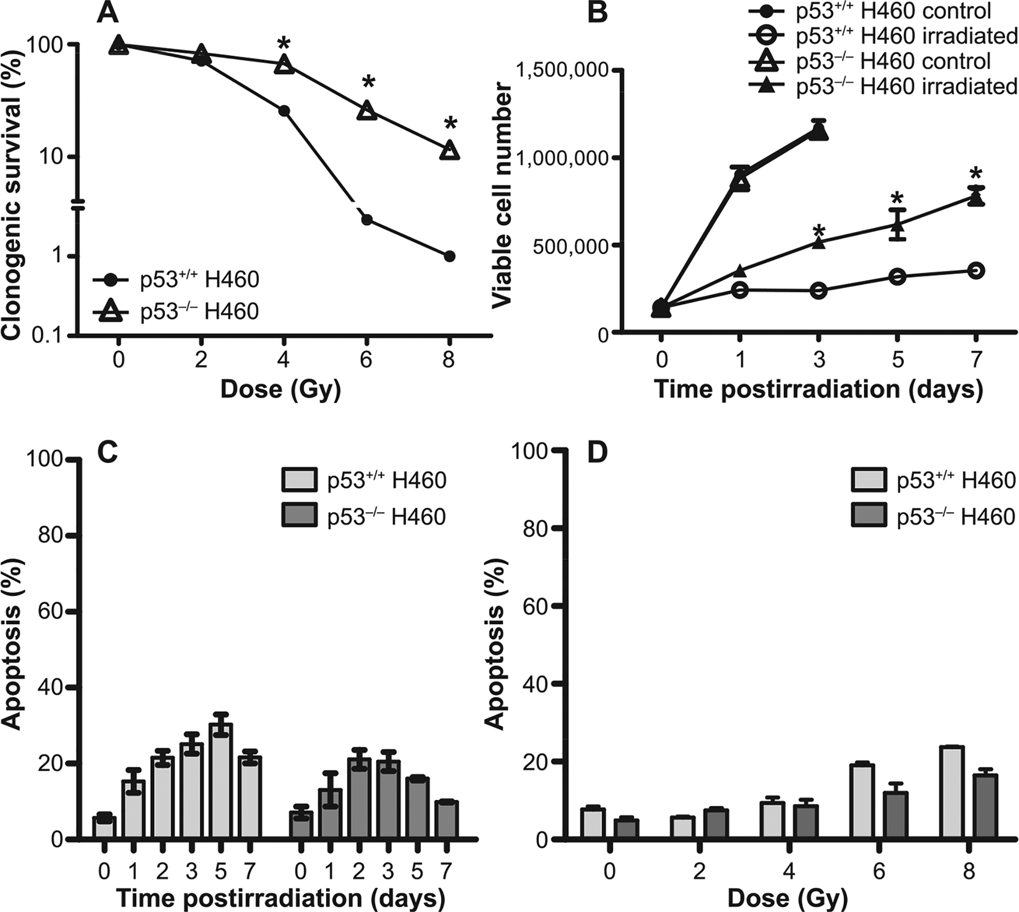 Differential Radiation Sensitivity in p53 Wild-Type and p53-Deficient ...