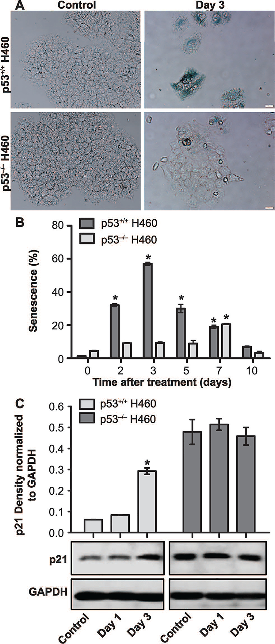 FIG. 6.