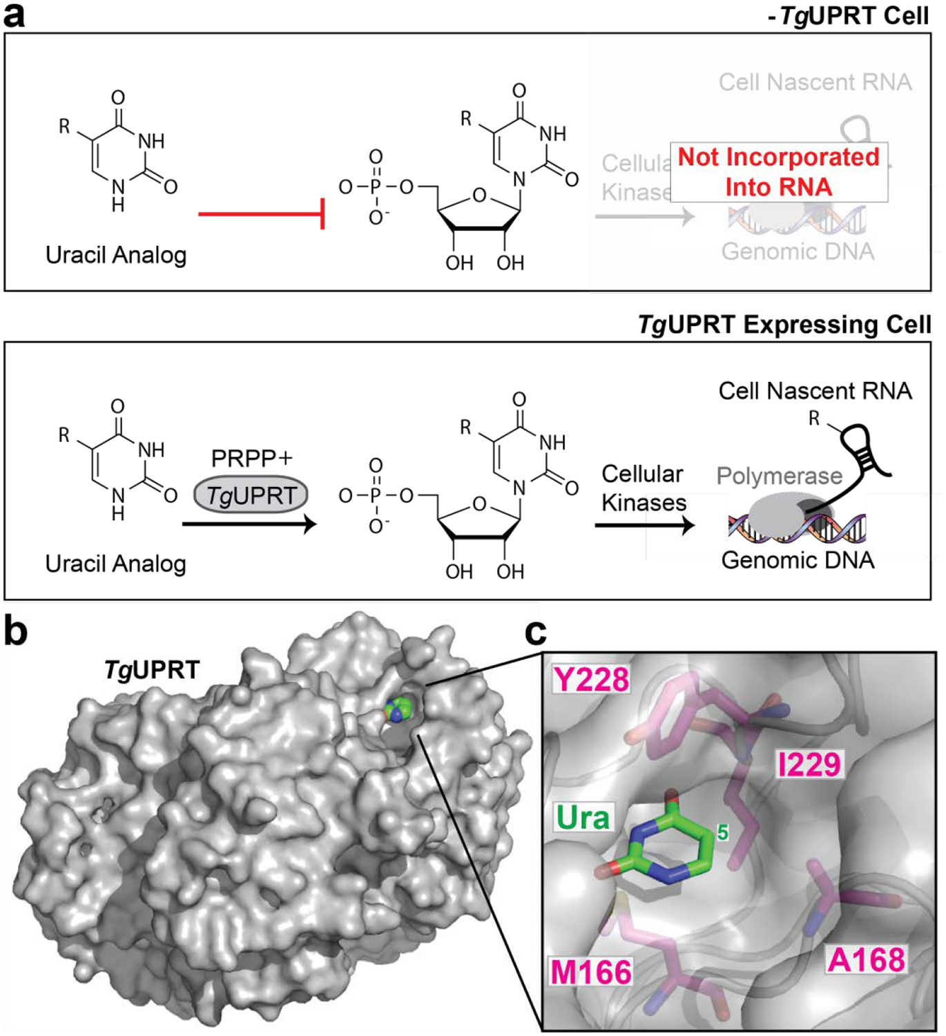 Figure 1.