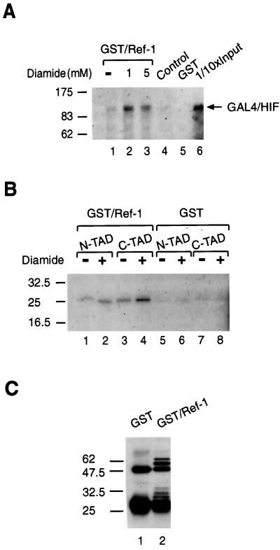 FIG. 7