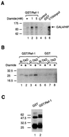 FIG. 7