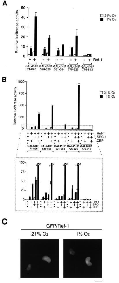 FIG. 6