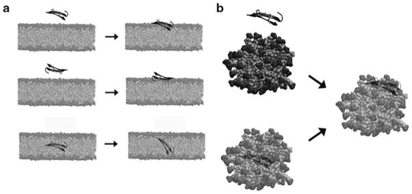 Fig. 17.3