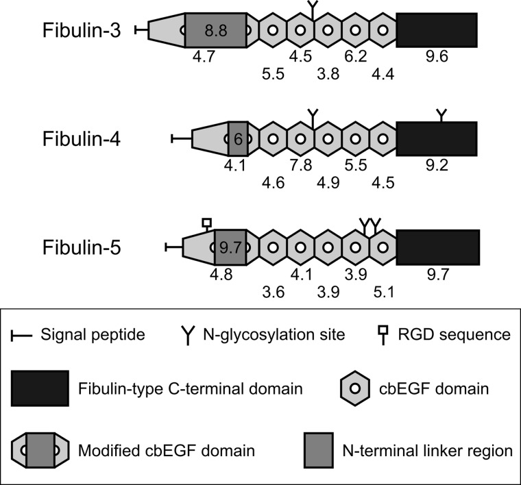 FIGURE 10.