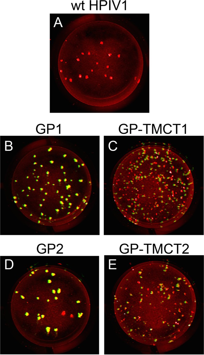 FIG 8