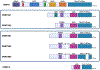 Figure 2: