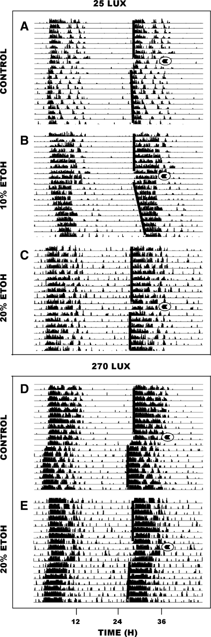 Fig. 5.