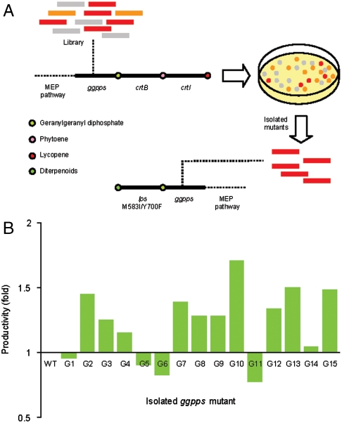 Fig. 4.