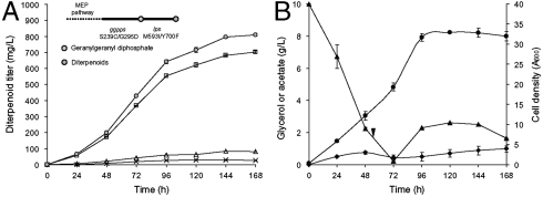 Fig. 5.