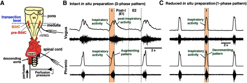 Figure 11.