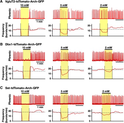 Figure 14.