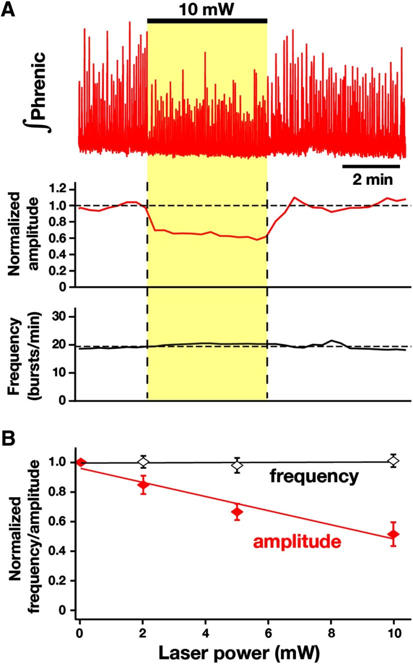 Figure 16.