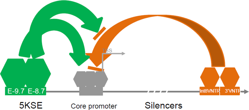 Figure 5: