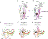 Extended Data Fig. 3.