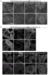 Extended Data Fig. 8.