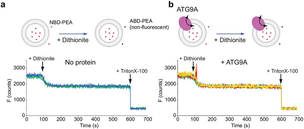 Extended Data Fig. 5.