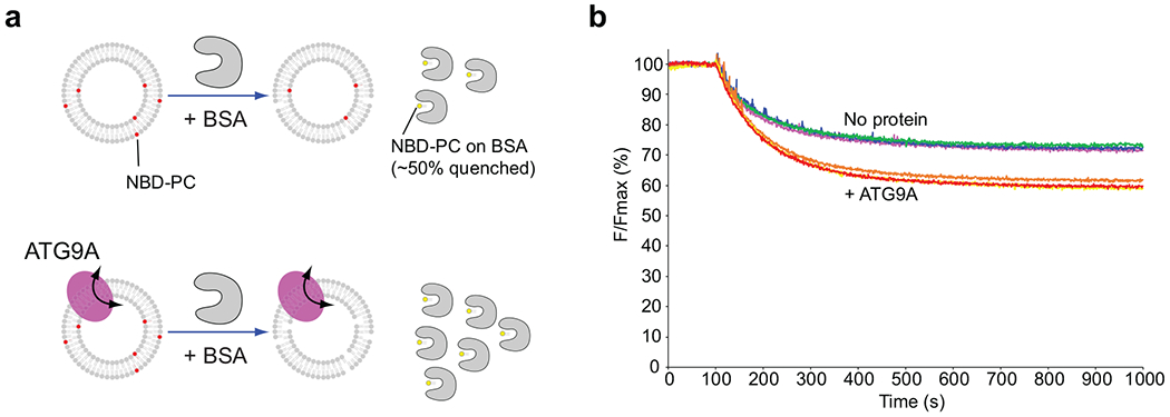 Extended Data Fig. 6.