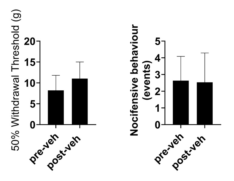 Figure 3—figure supplement 2.