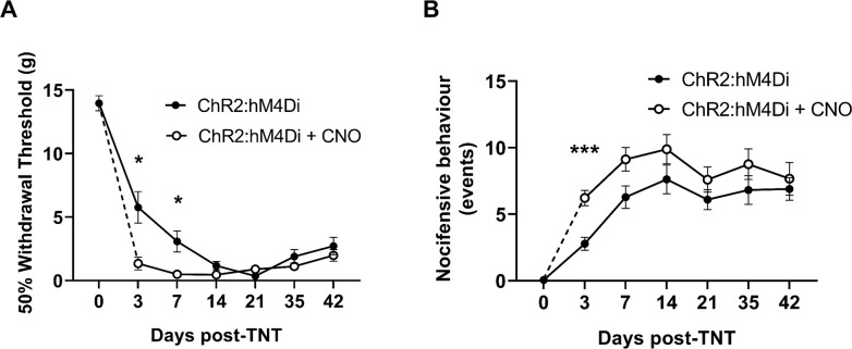 Figure 3—figure supplement 1.