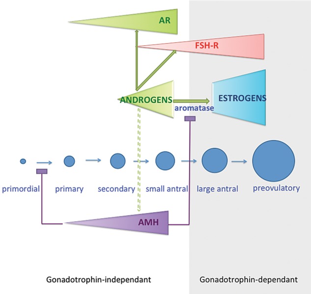 Figure 1