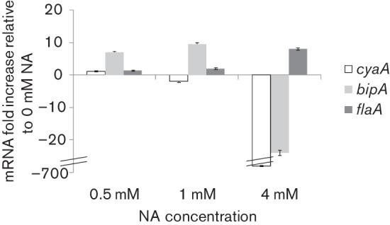 Fig. 2. 