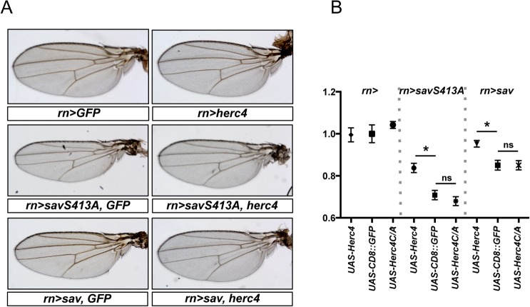 Fig 10