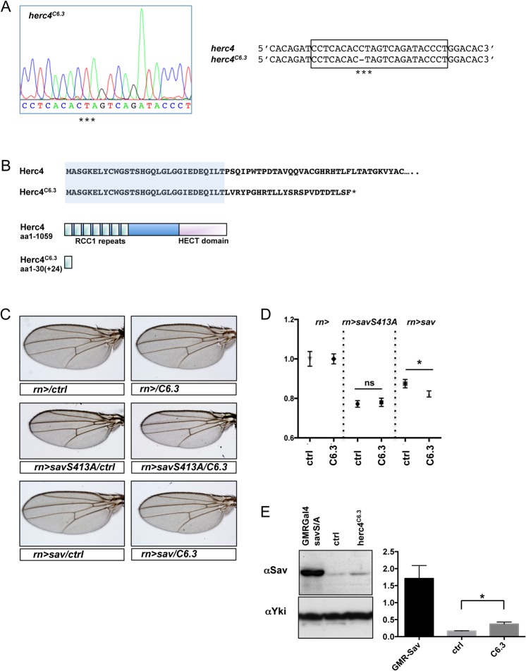 Fig 11