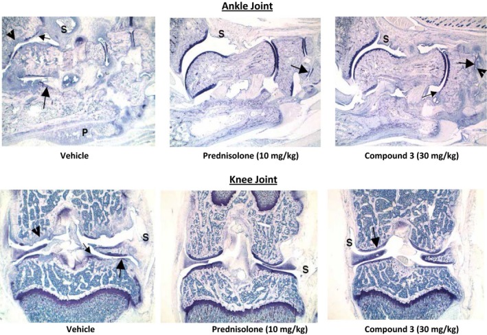 Figure 10