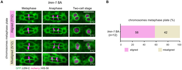 Figure 6—figure supplement 1.