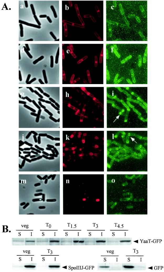 FIG.6.