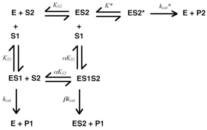 Scheme. 2