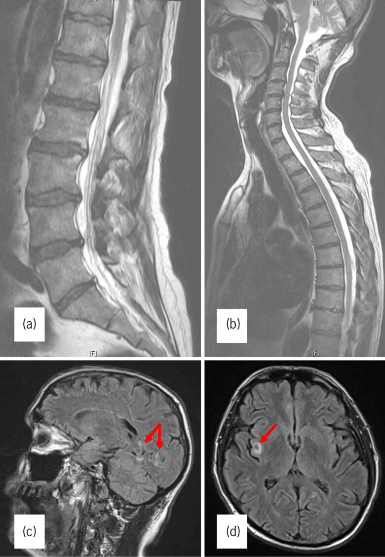 Figure 1 