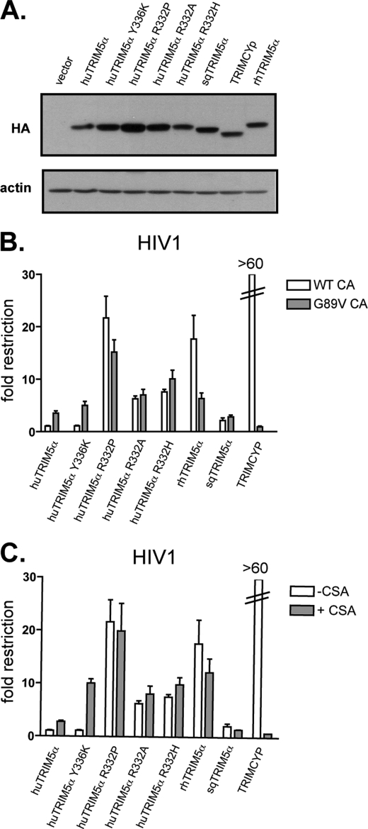 FIGURE 4.