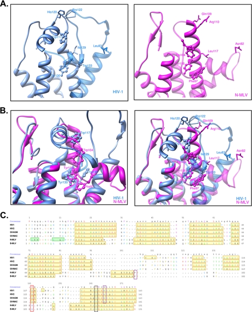 FIGURE 6.