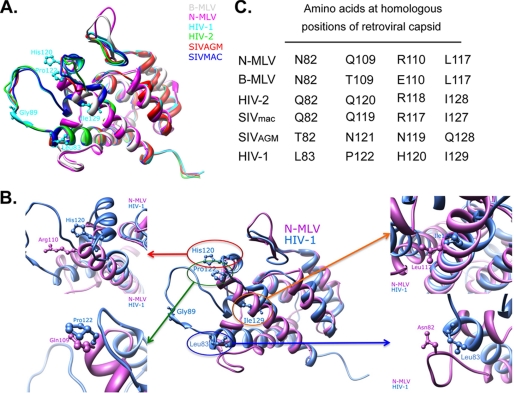 FIGURE 2.