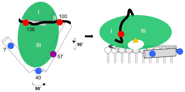 Fig 5