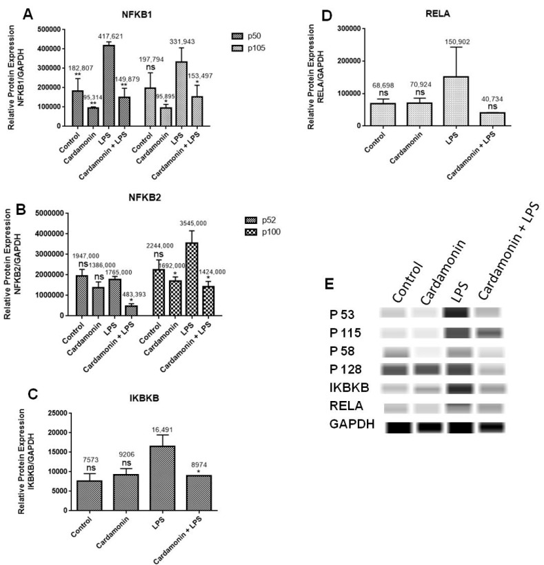 Figure 12