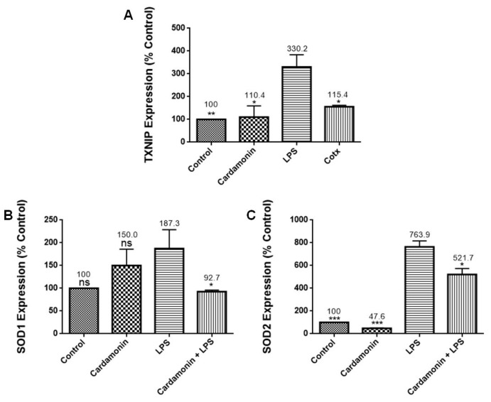 Figure 7