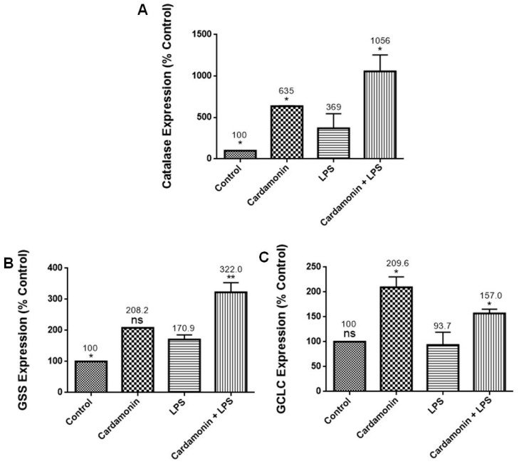 Figure 5