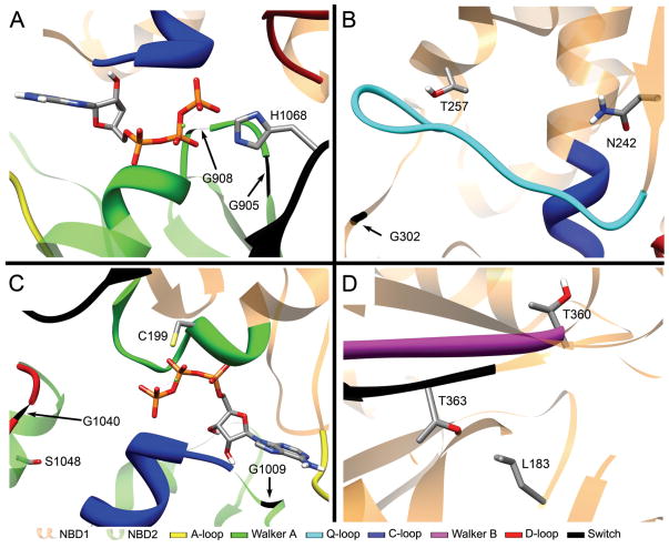 Figure 6