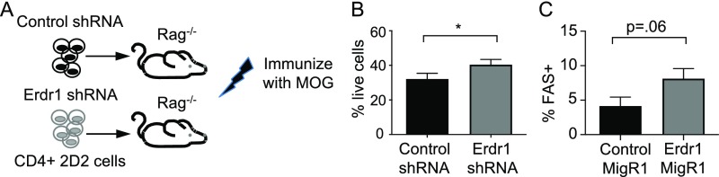 Fig. S9.