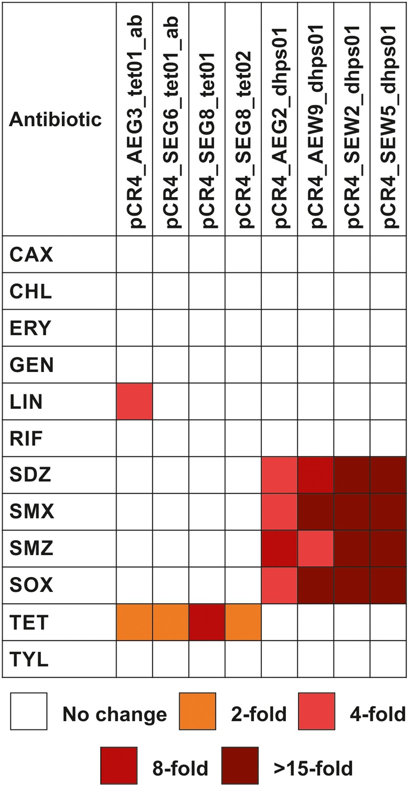 FIGURE 3