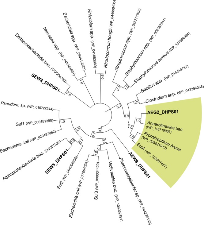 FIGURE 2