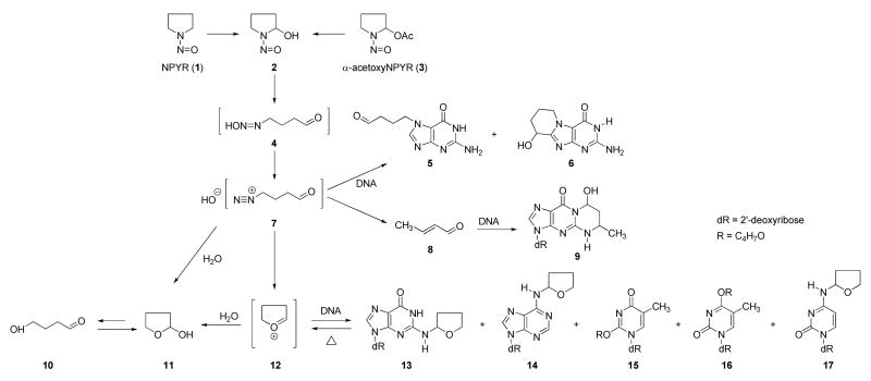 Scheme 1