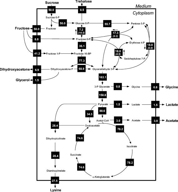 FIG. 4.