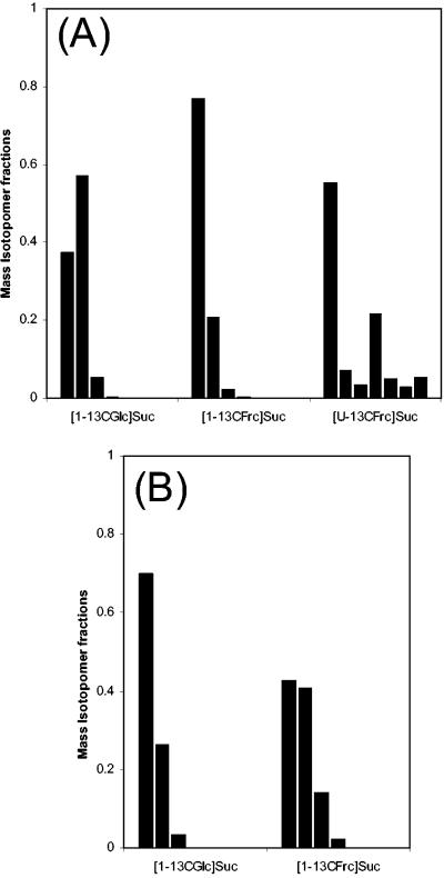 FIG. 2.